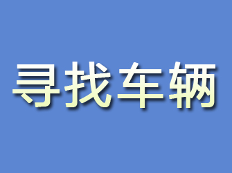 桑日寻找车辆