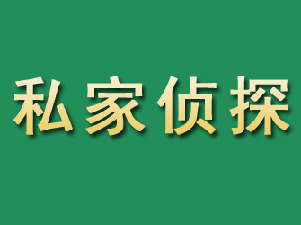 桑日市私家正规侦探