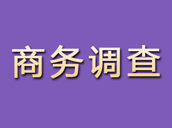 桑日商务调查