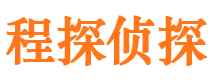 桑日市侦探